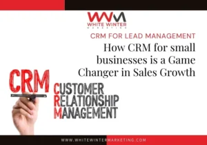 How-CRM-for-small-businesses-is-a-Game-Changer-in-Sales-Growth